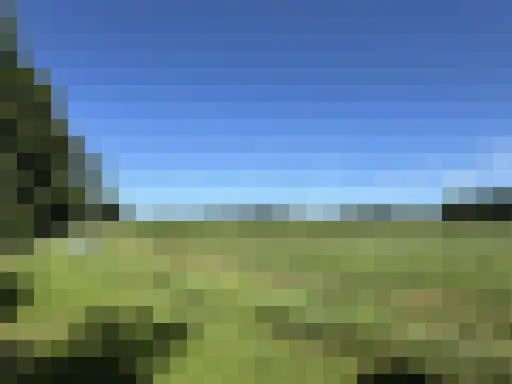 Koelveenweg 1 Schoonebeek thumbnail 60