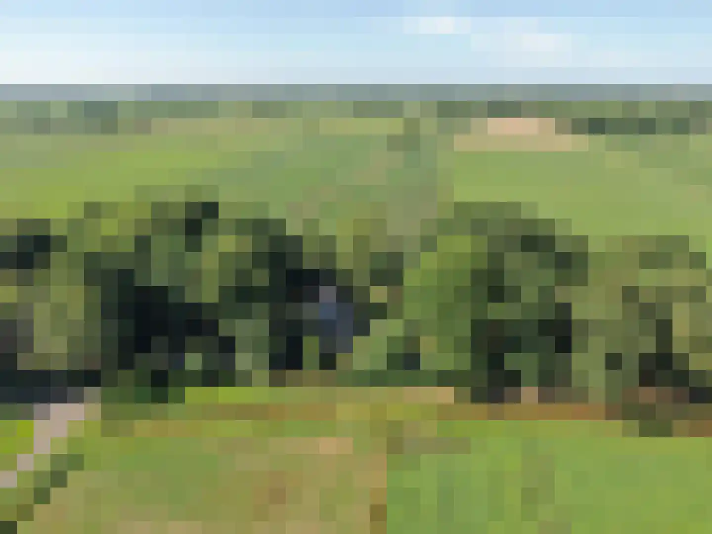 Koelveenweg 1 Schoonebeek thumbnail 65