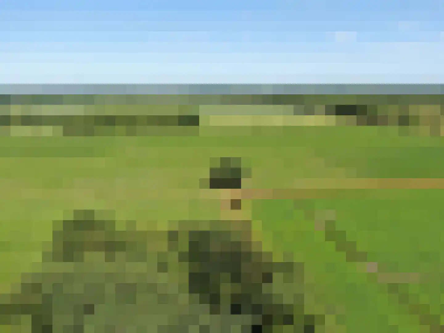 Koelveenweg 1 Schoonebeek thumbnail 66