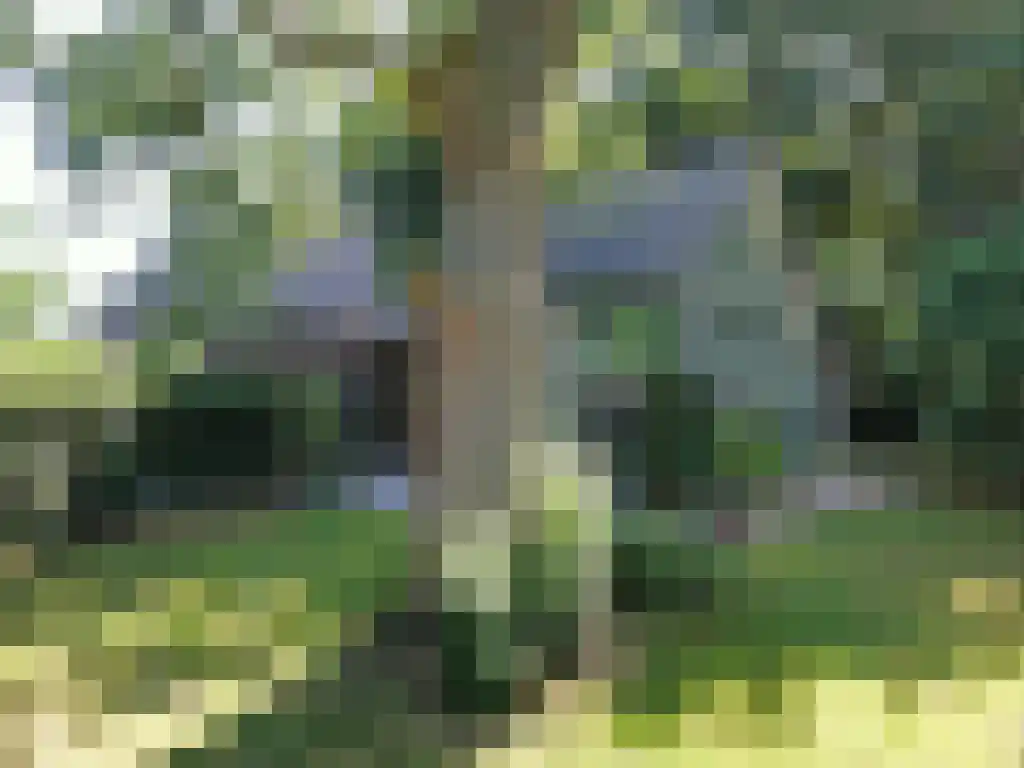 Koelveenweg 1 Schoonebeek thumbnail 7