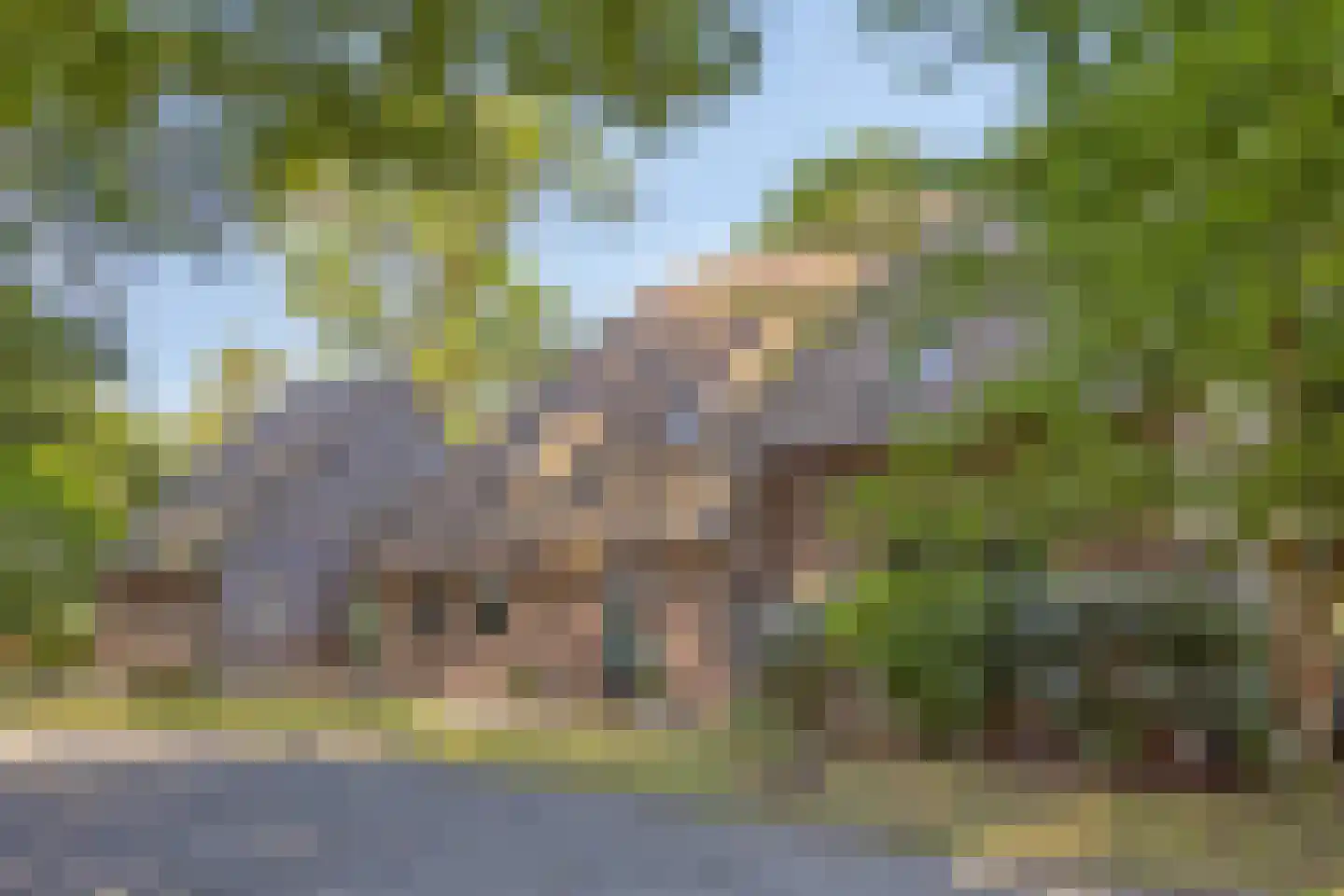 Koelveenweg 1 Schoonebeek thumbnail 7