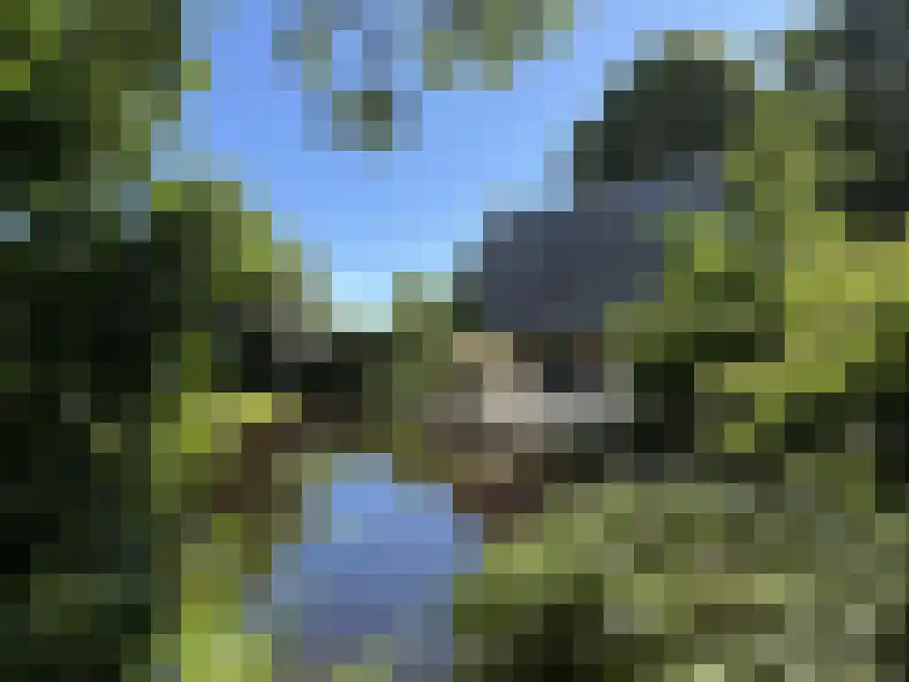 Koelveenweg 1 Schoonebeek thumbnail 8