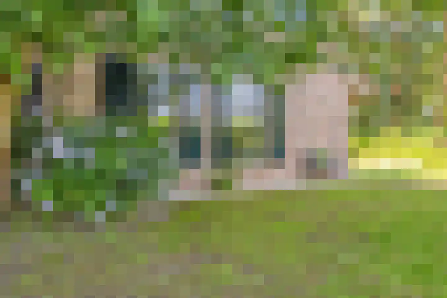 Koelveenweg 1 Schoonebeek thumbnail 8