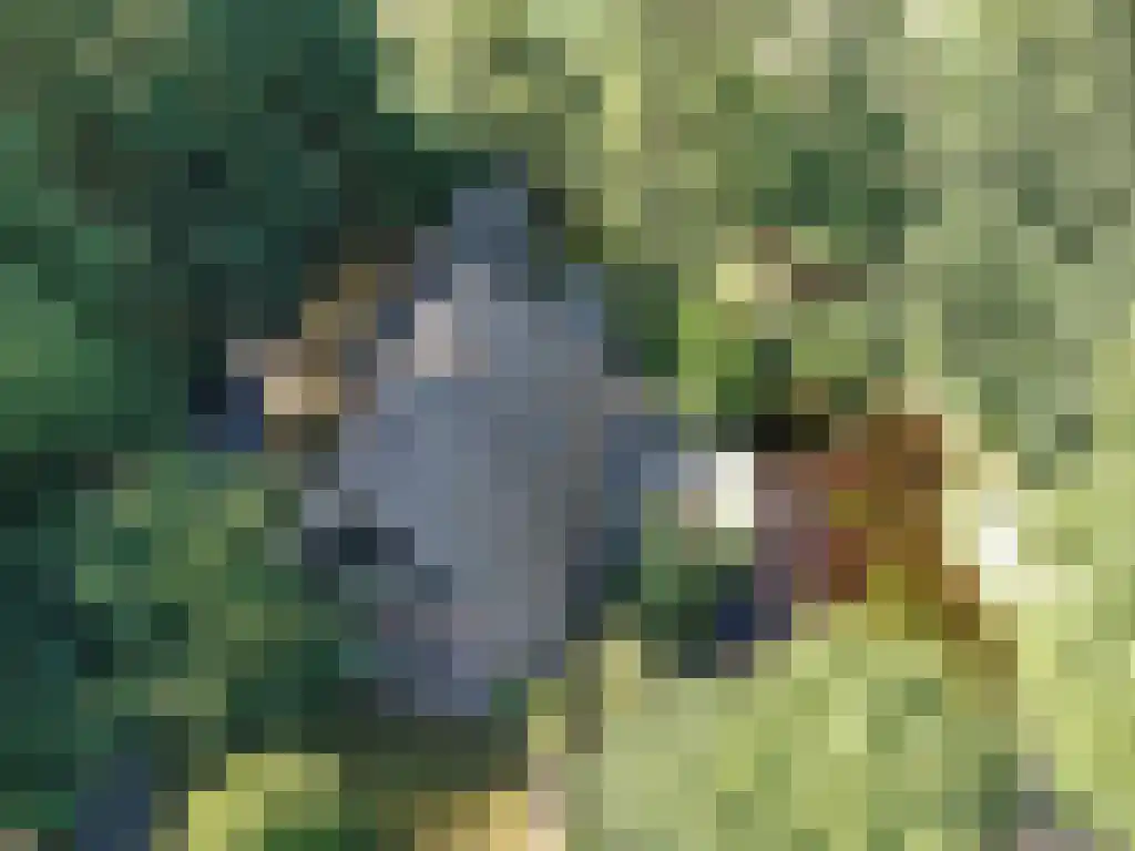 Koelveenweg 1 Schoonebeek thumbnail 9