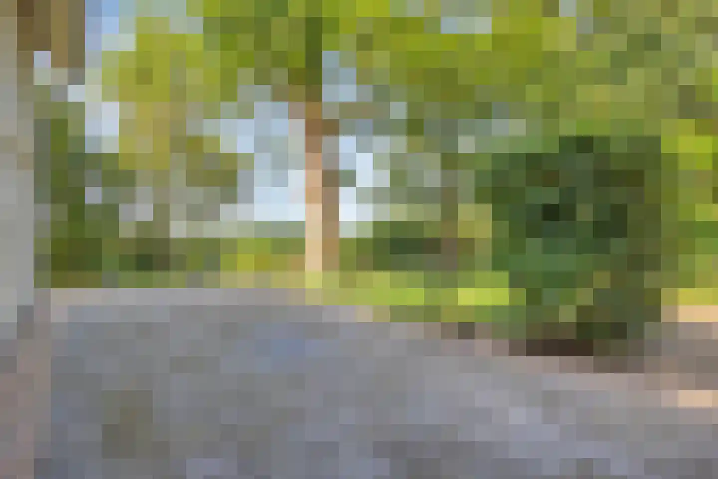 Koelveenweg 1 Schoonebeek thumbnail 9