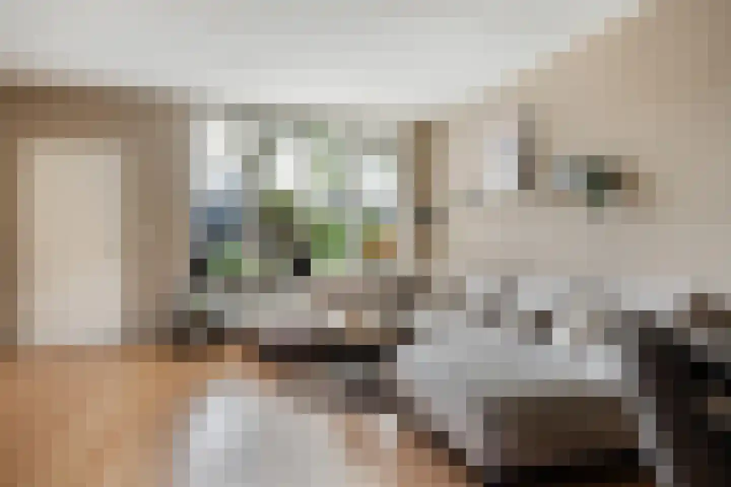 Koemaad 28 Oosterwolde thumbnail 10