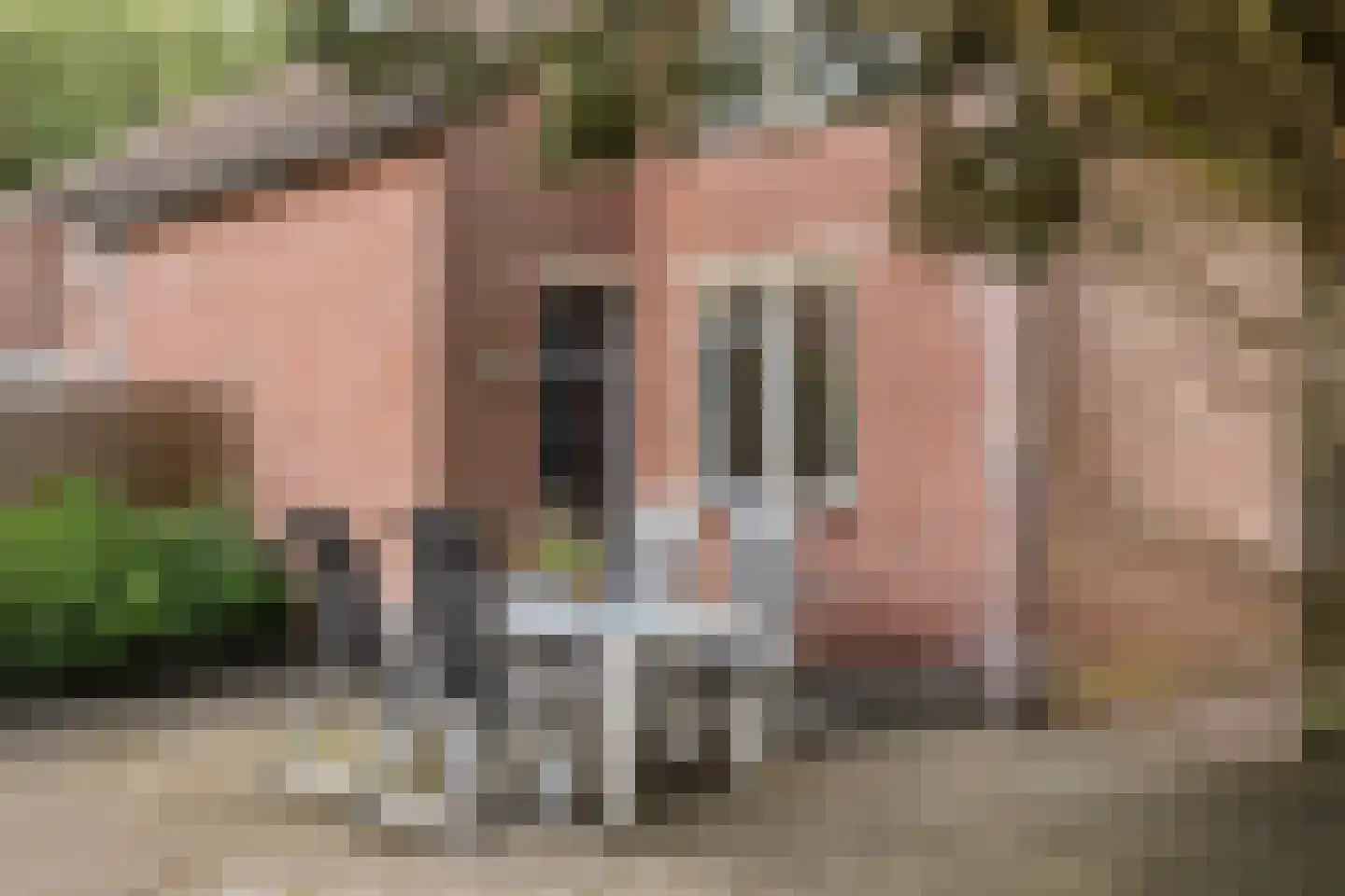 Koemaad 28 Oosterwolde thumbnail 28