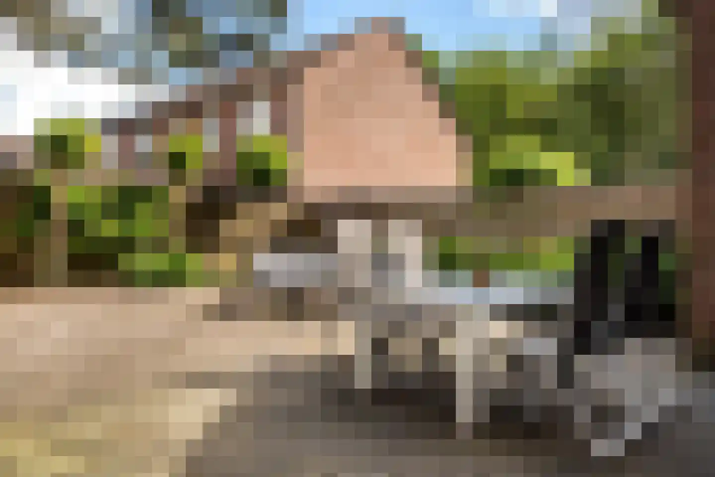 Koemaad 28 Oosterwolde thumbnail 29