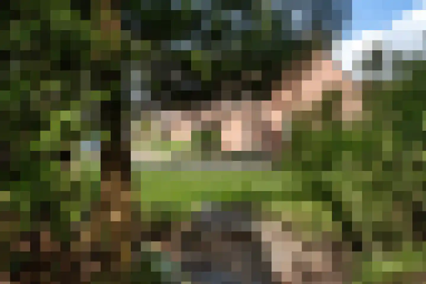 Koemaad 28 Oosterwolde thumbnail 33