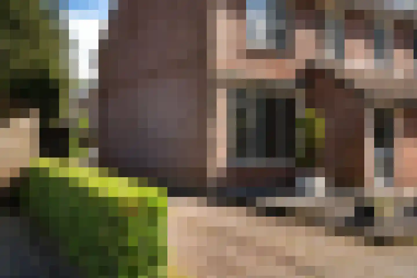 Koemaad 28 Oosterwolde thumbnail 6