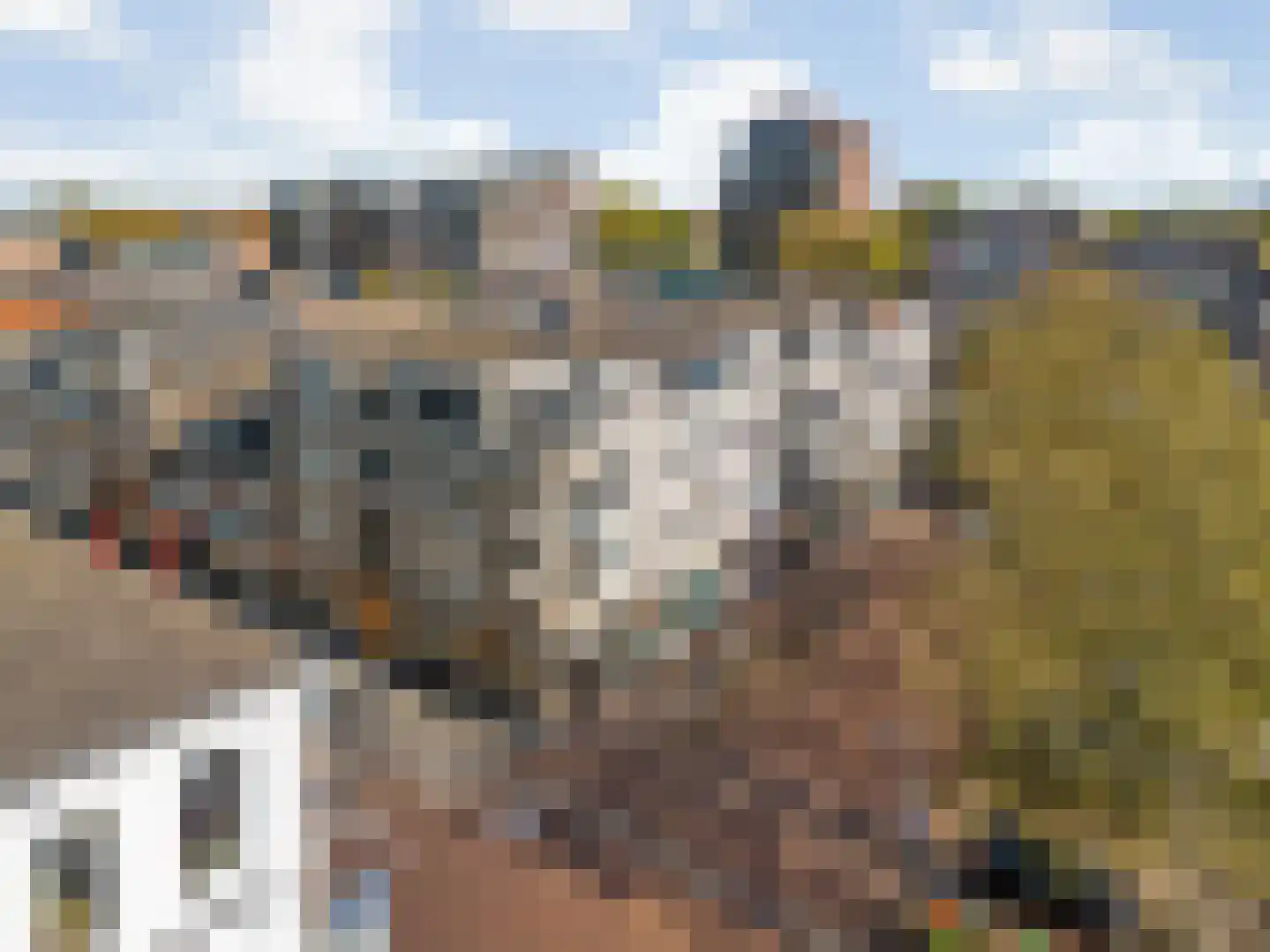 Koemarkt 73 Purmerend thumbnail 31