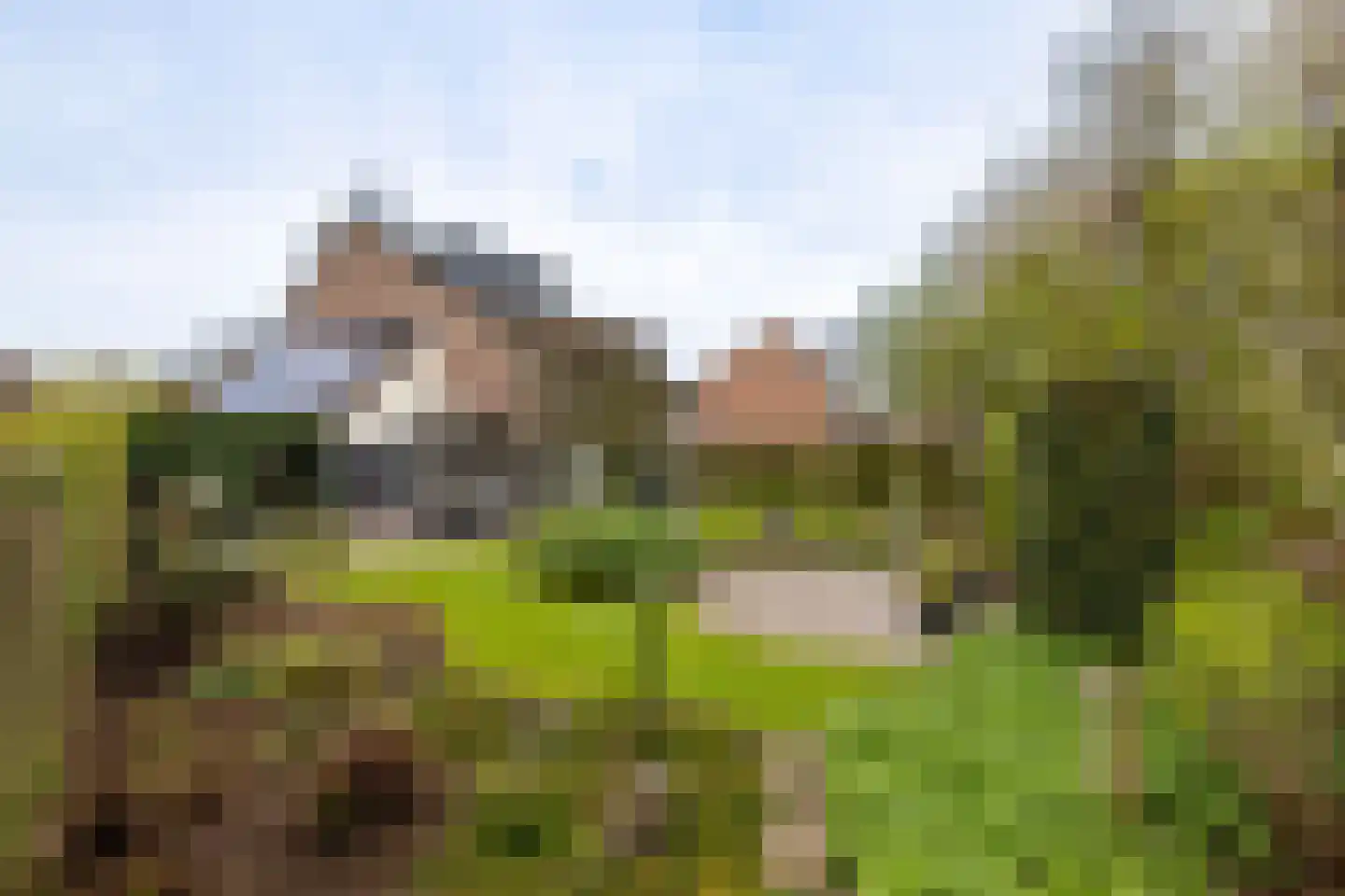 Koemate 102 in Doetinchem