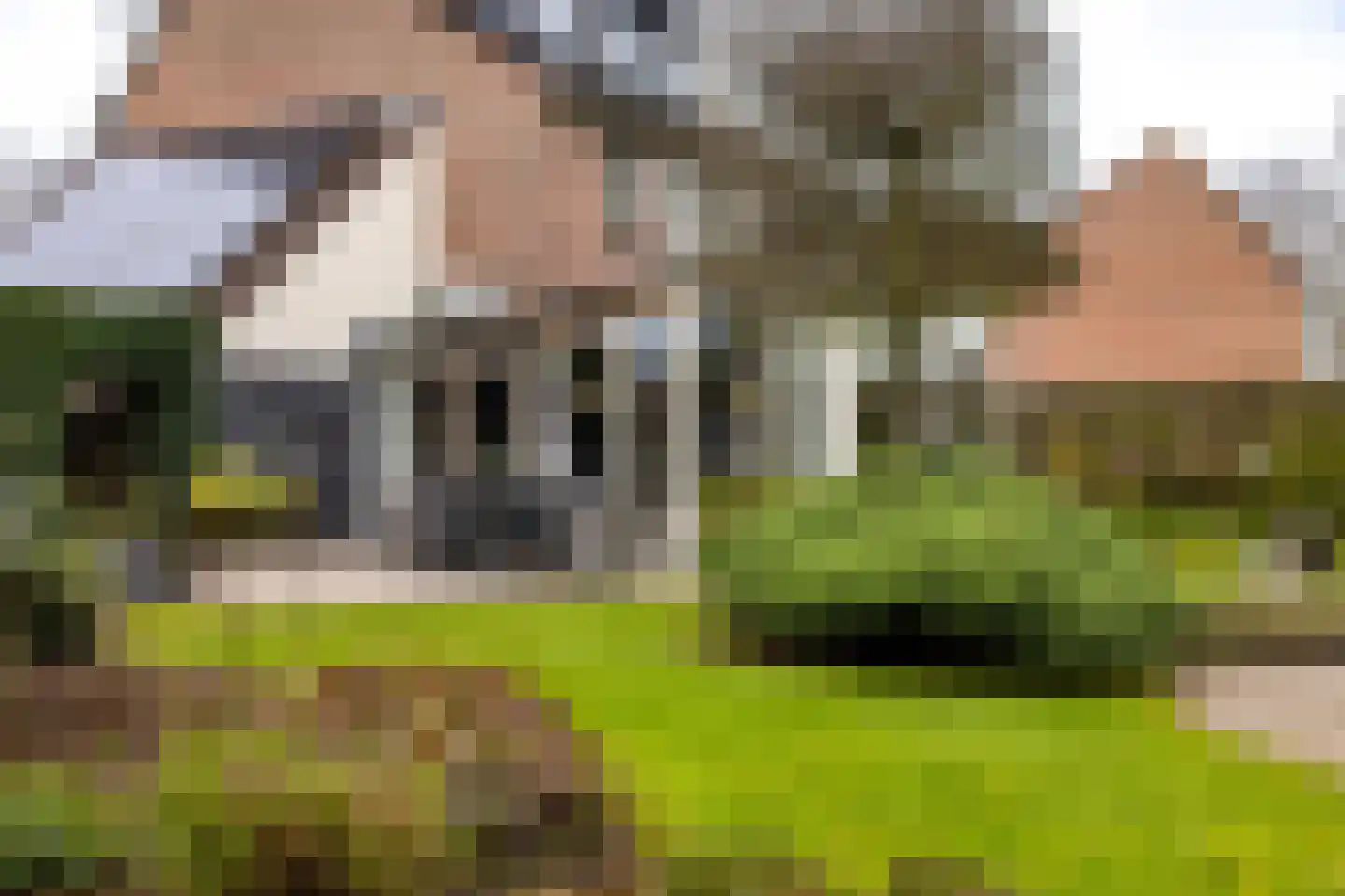 Koemate 102 Doetinchem thumbnail 23