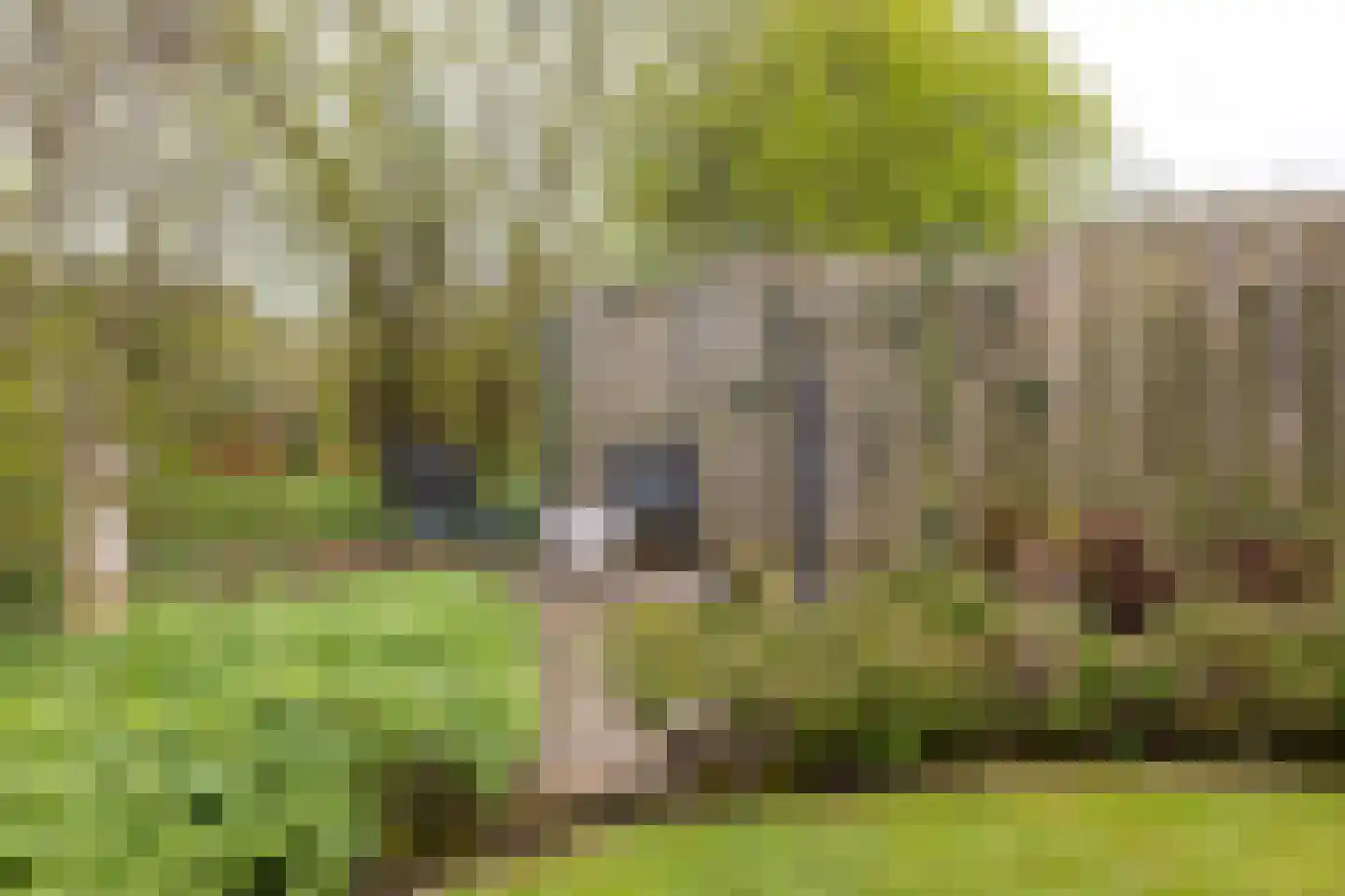 Koemate 102 Doetinchem thumbnail 25