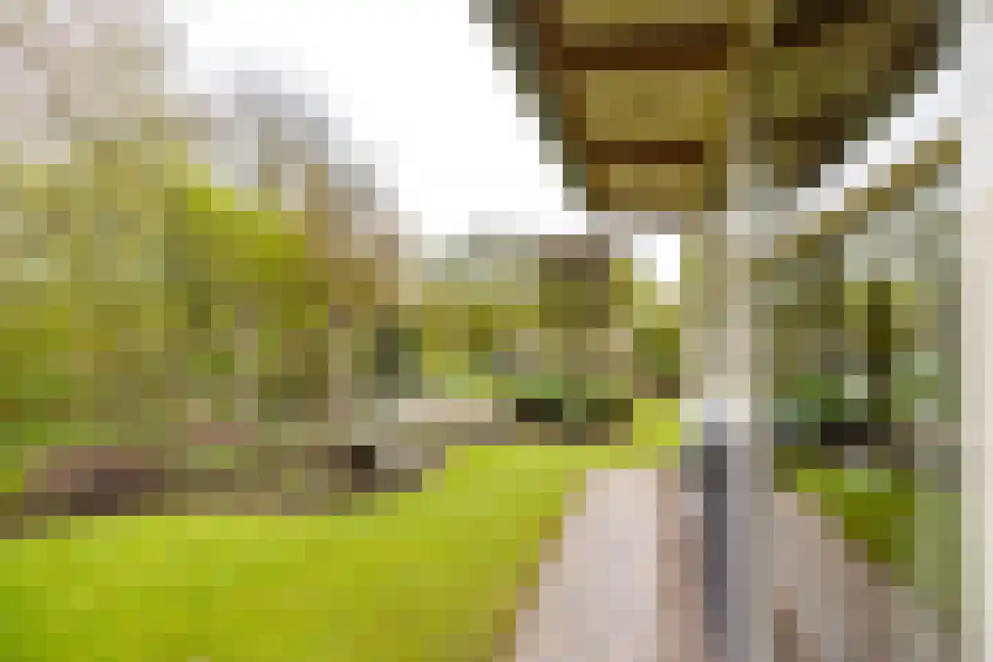 Koemate 102 Doetinchem thumbnail 26