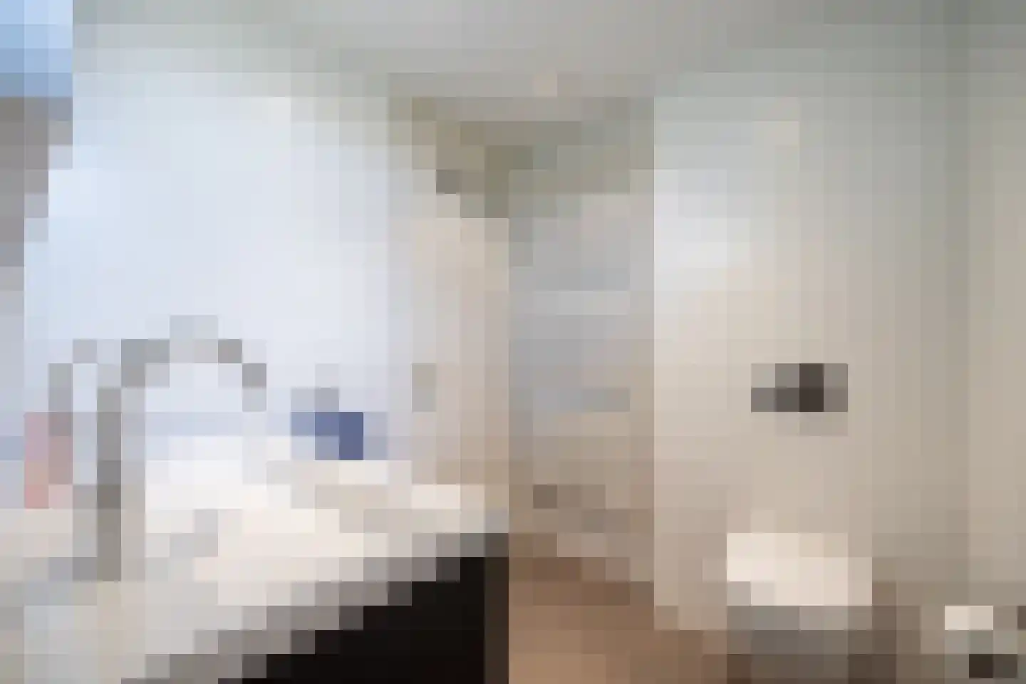 Koemate 102 Doetinchem thumbnail 39