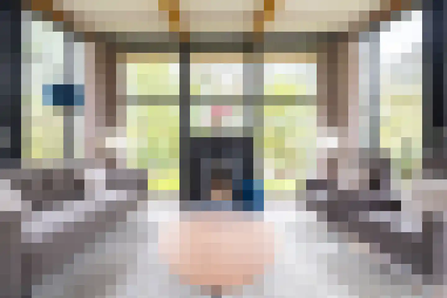 Koemate 102 Doetinchem thumbnail 4