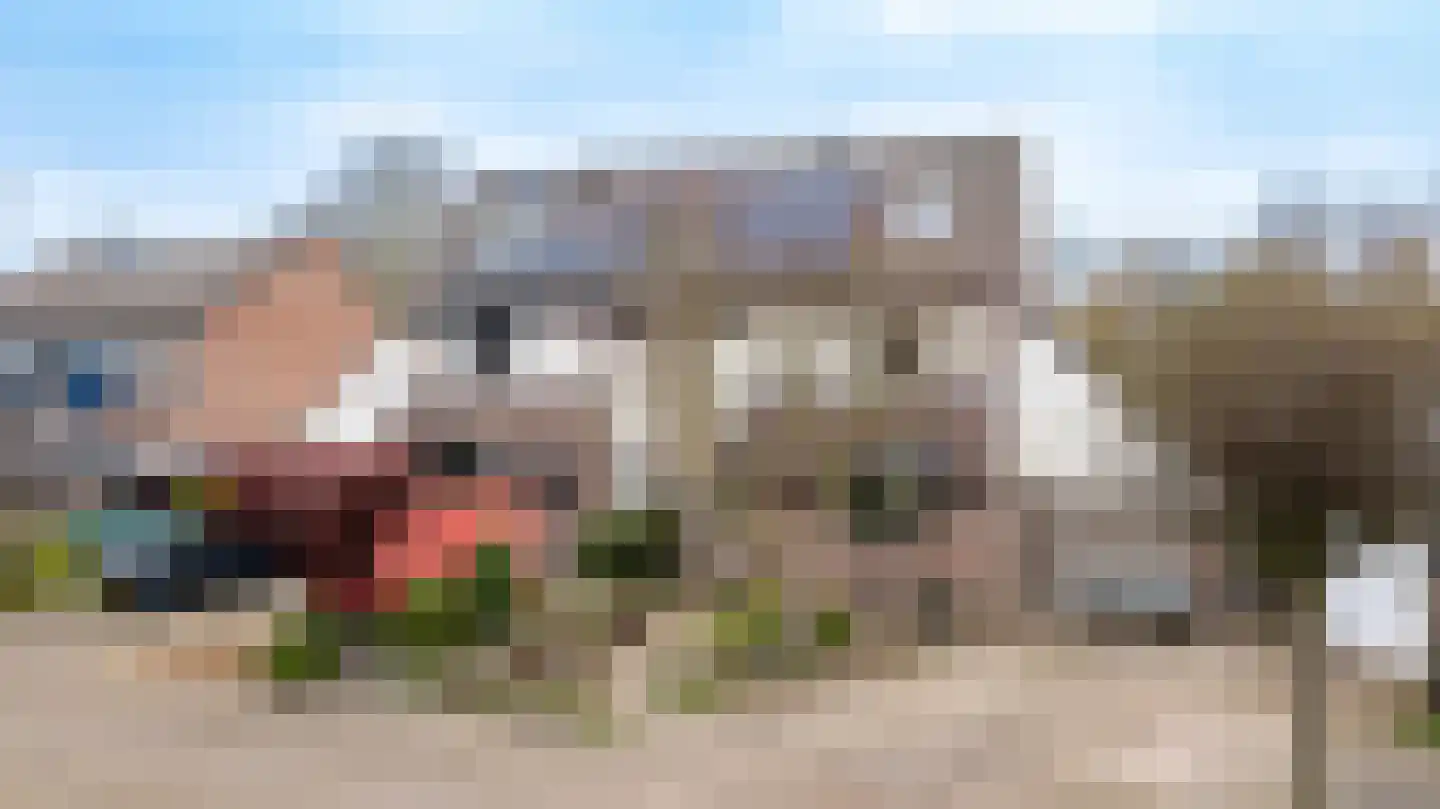 Koemate 102 Doetinchem thumbnail 48