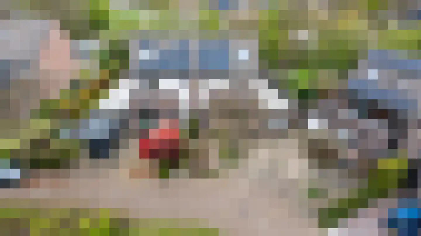 Koemate 102 Doetinchem thumbnail 49