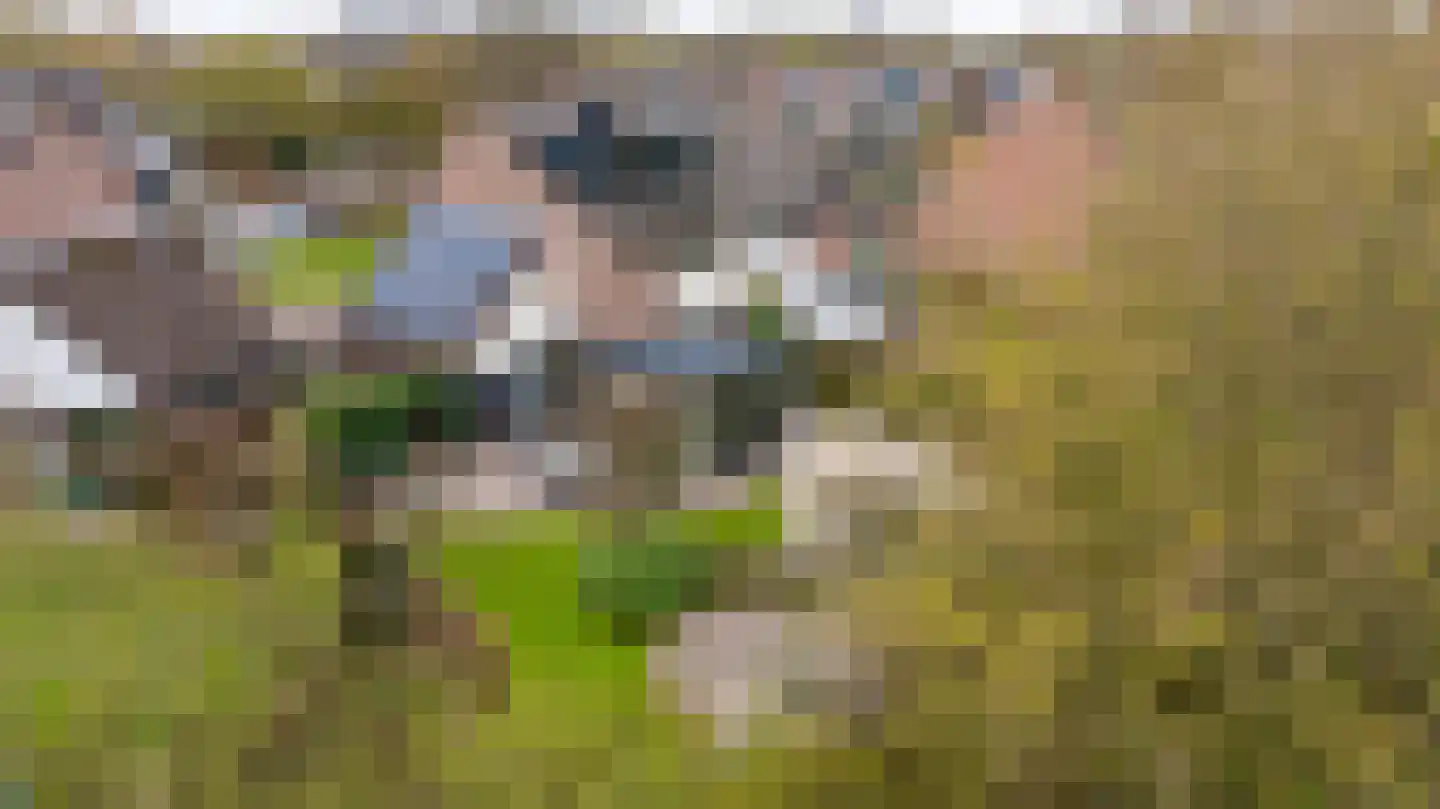 Koemate 102 Doetinchem thumbnail 50
