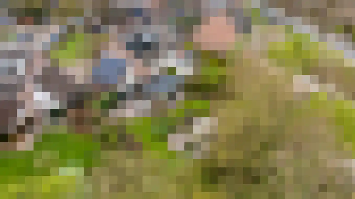 Koemate 102 Doetinchem thumbnail 51