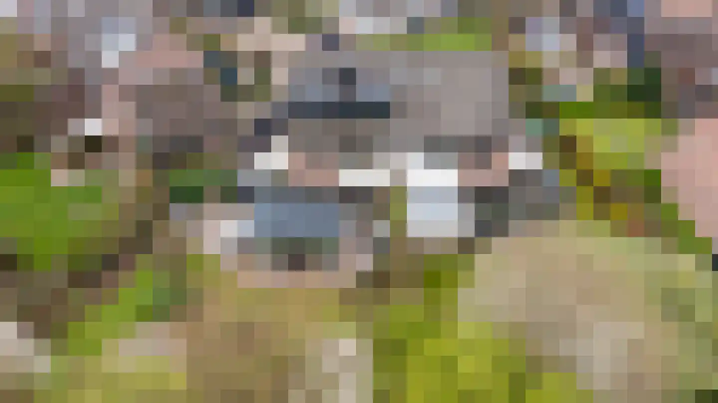 Koemate 102 Doetinchem thumbnail 52