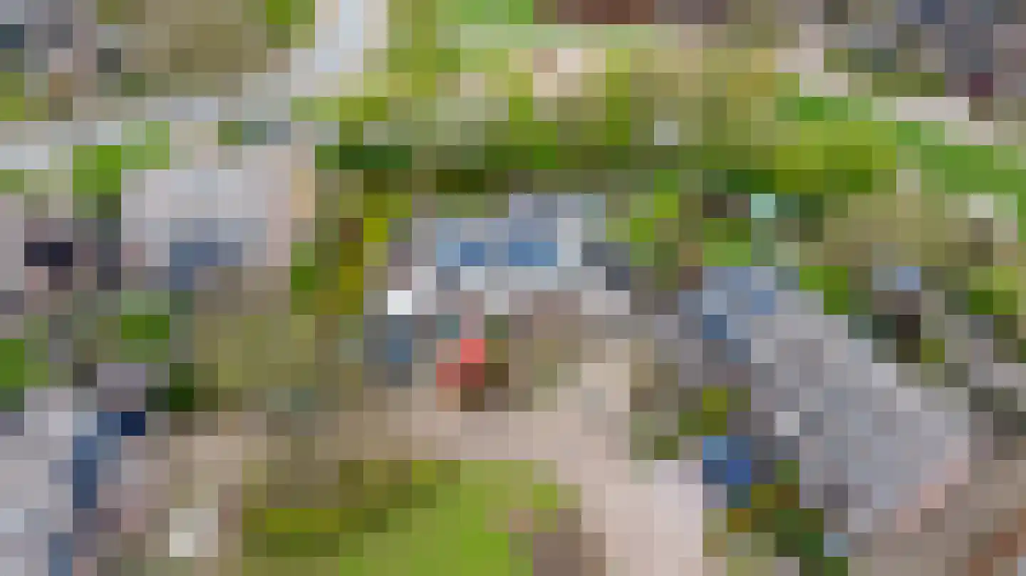 Koemate 102 Doetinchem thumbnail 53