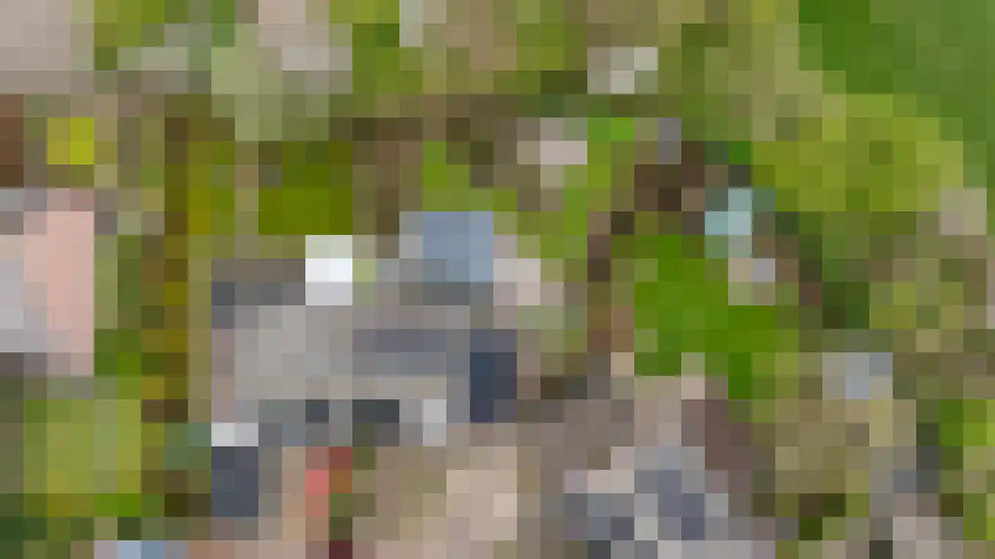 Koemate 102 Doetinchem thumbnail 54