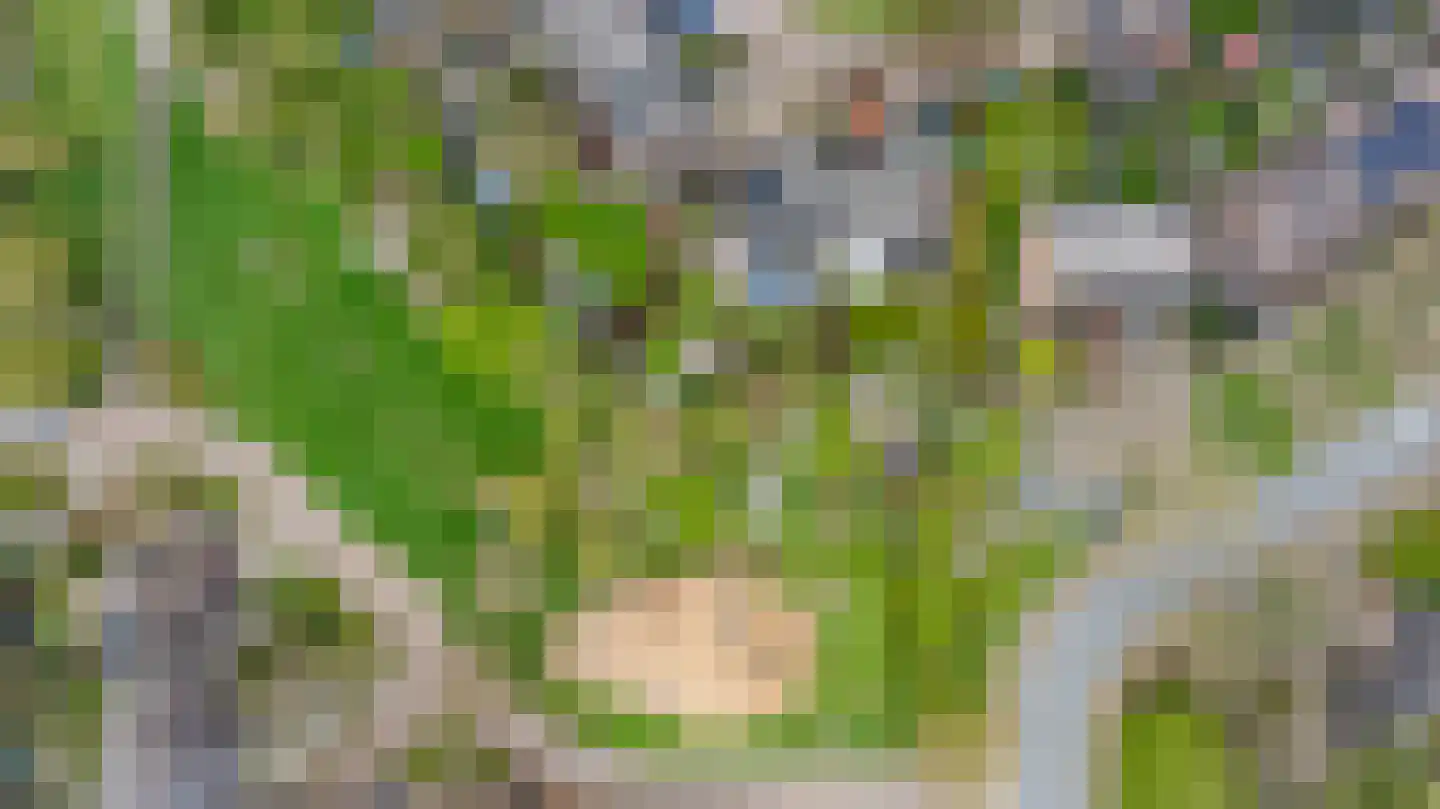 Koemate 102 Doetinchem thumbnail 55