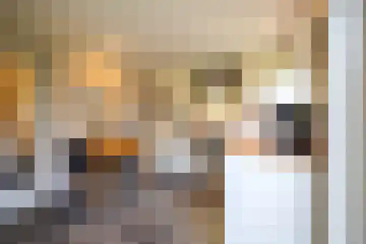 Koemate 104 Doetinchem thumbnail 10