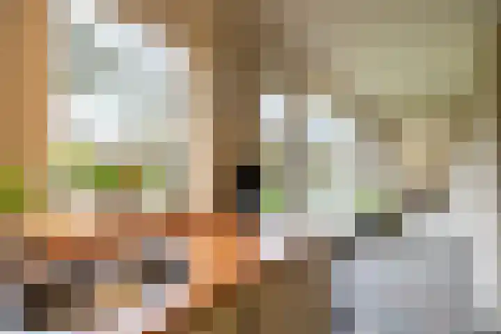 Koemate 104 Doetinchem thumbnail 12