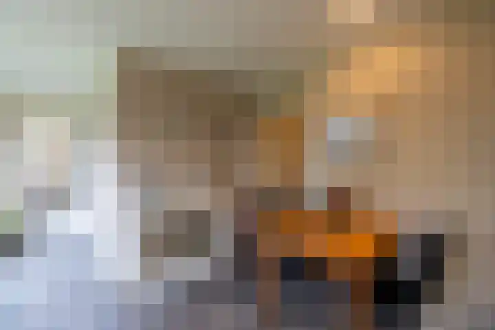 Koemate 104 Doetinchem thumbnail 13