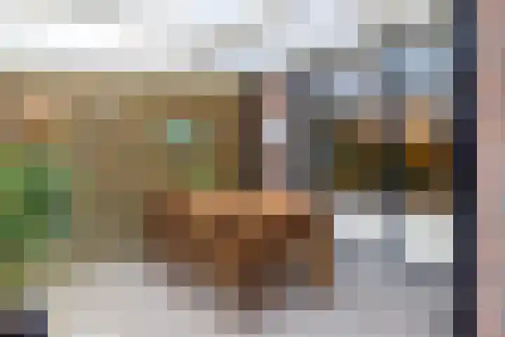 Koemate 104 Doetinchem thumbnail 16