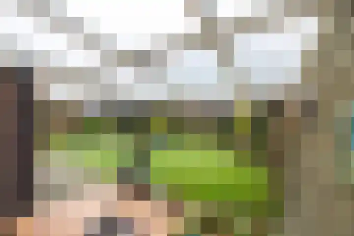 Koemate 104 Doetinchem thumbnail 17