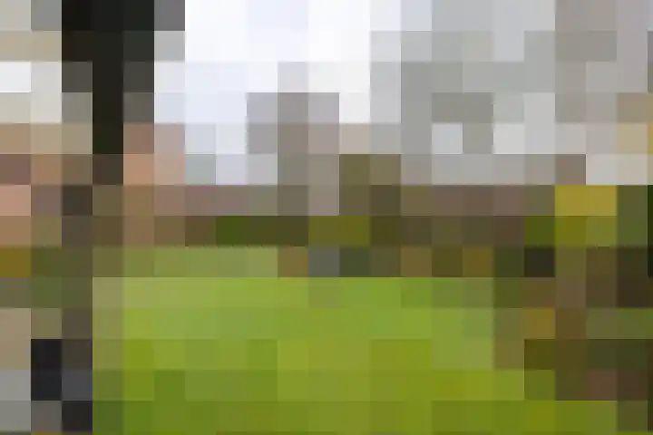 Koemate 104 Doetinchem thumbnail 18