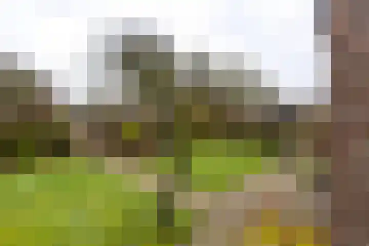 Koemate 104 Doetinchem thumbnail 19