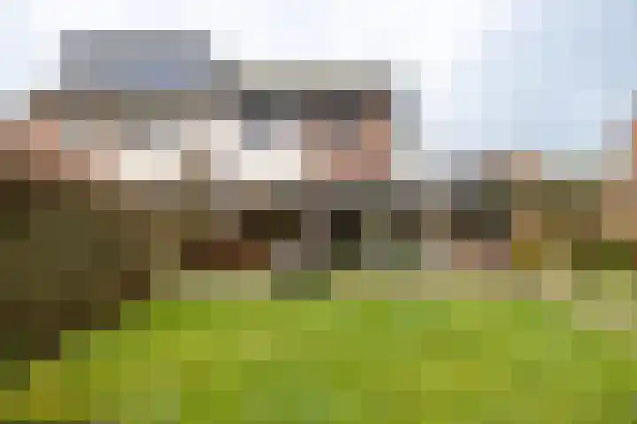 Koemate 104 Doetinchem thumbnail 20