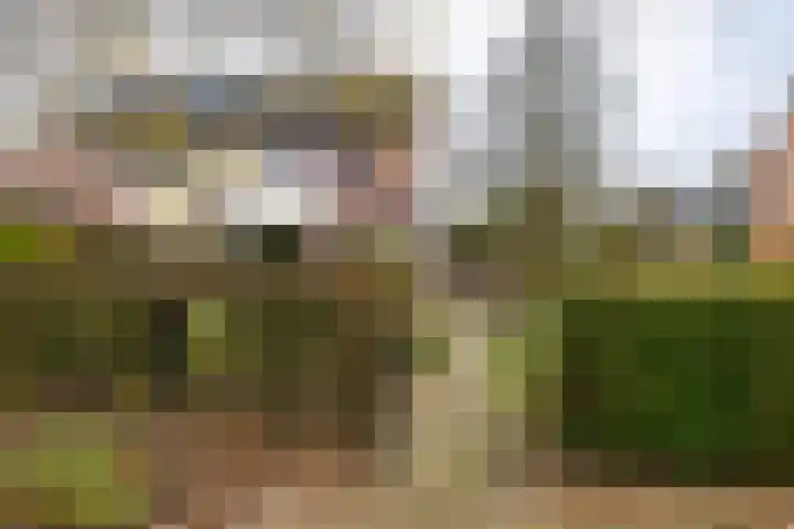 Koemate 104 Doetinchem thumbnail 21