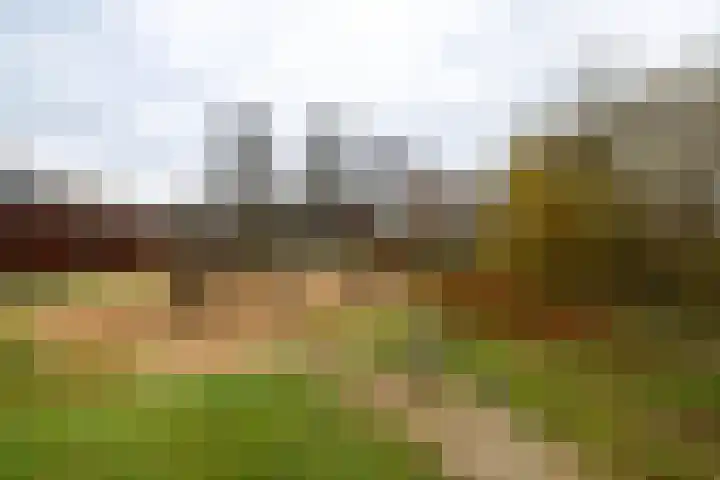 Koemate 104 Doetinchem thumbnail 22