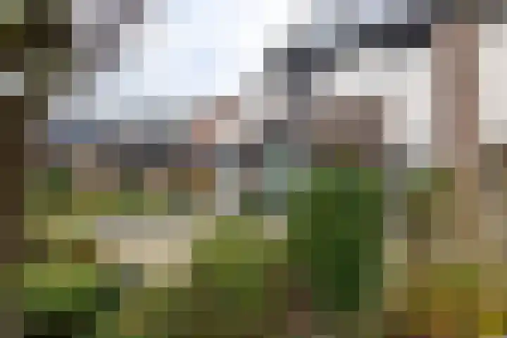 Koemate 104 Doetinchem thumbnail 23