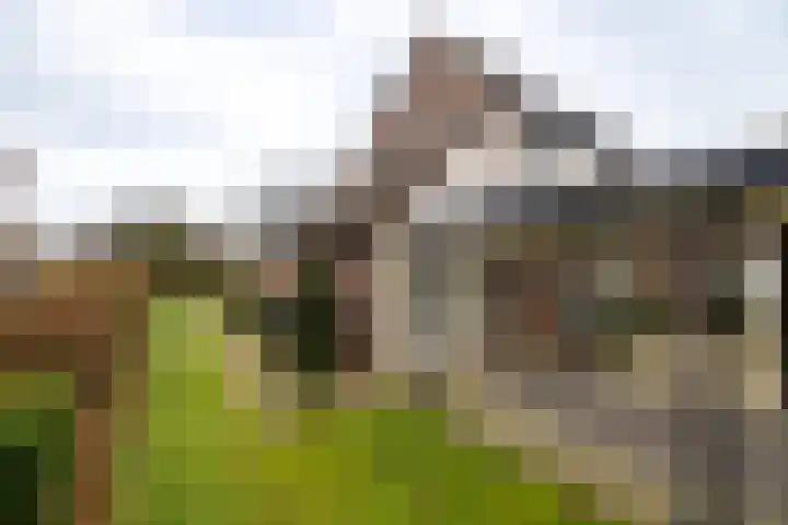 Koemate 104 Doetinchem thumbnail 24