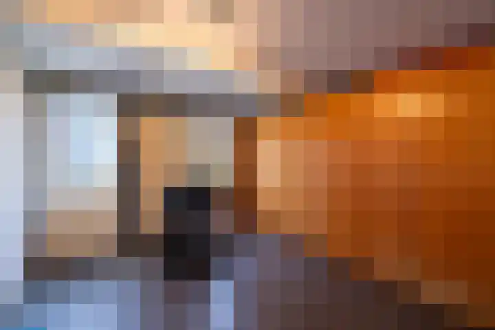 Koemate 104 Doetinchem thumbnail 25