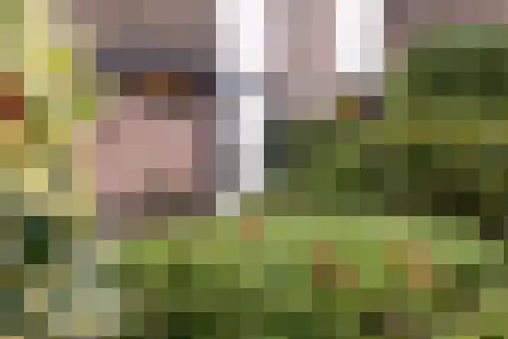 Koemate 104 Doetinchem thumbnail 26