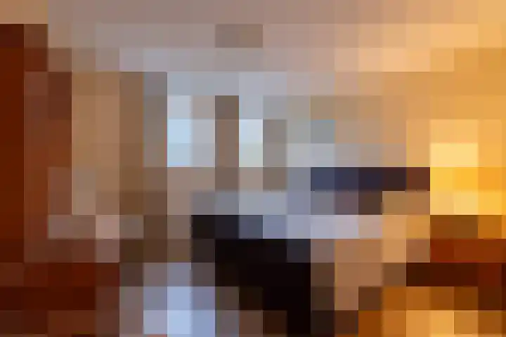 Koemate 104 Doetinchem thumbnail 31