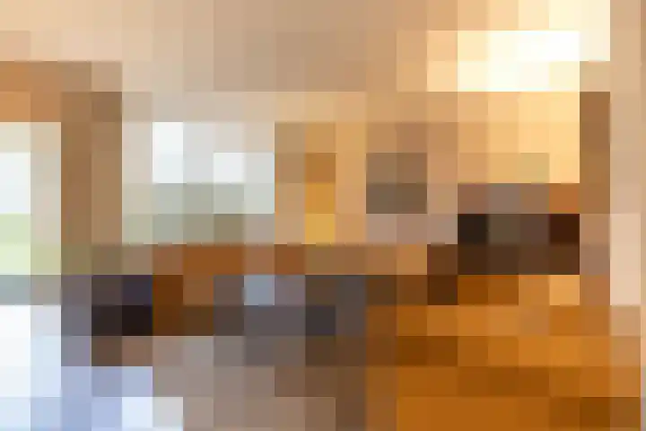 Koemate 104 Doetinchem thumbnail 4
