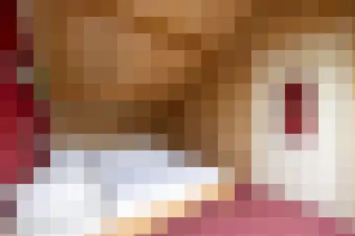 Koemate 104 Doetinchem thumbnail 43