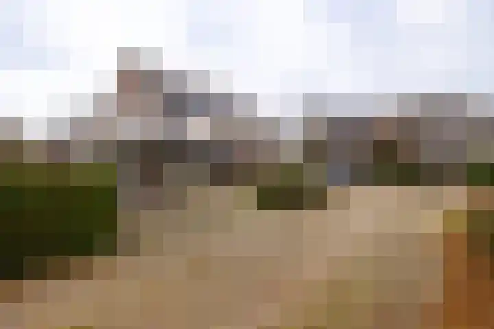 Koemate 104 Doetinchem thumbnail 44
