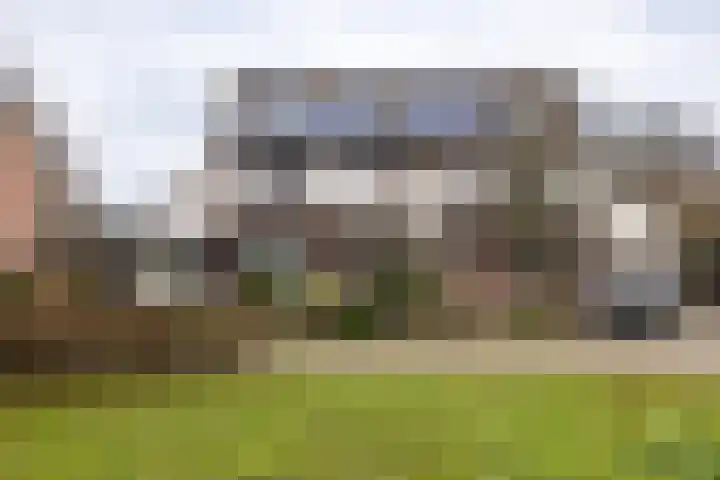 Koemate 104 Doetinchem thumbnail 45