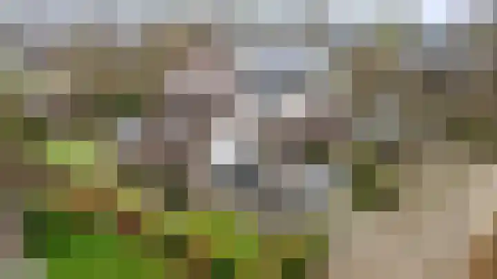 Koemate 104 Doetinchem thumbnail 49