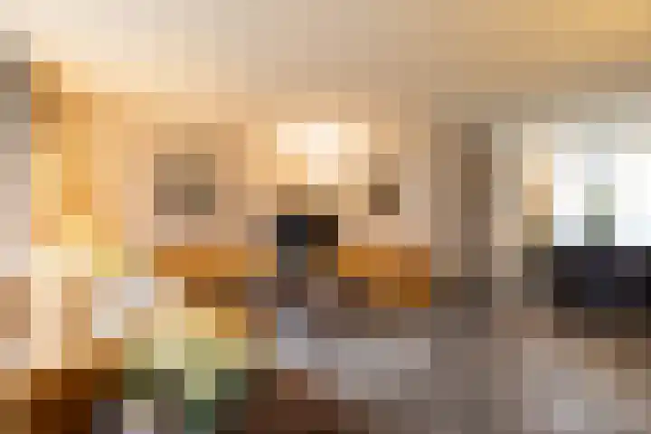 Koemate 104 Doetinchem thumbnail 5